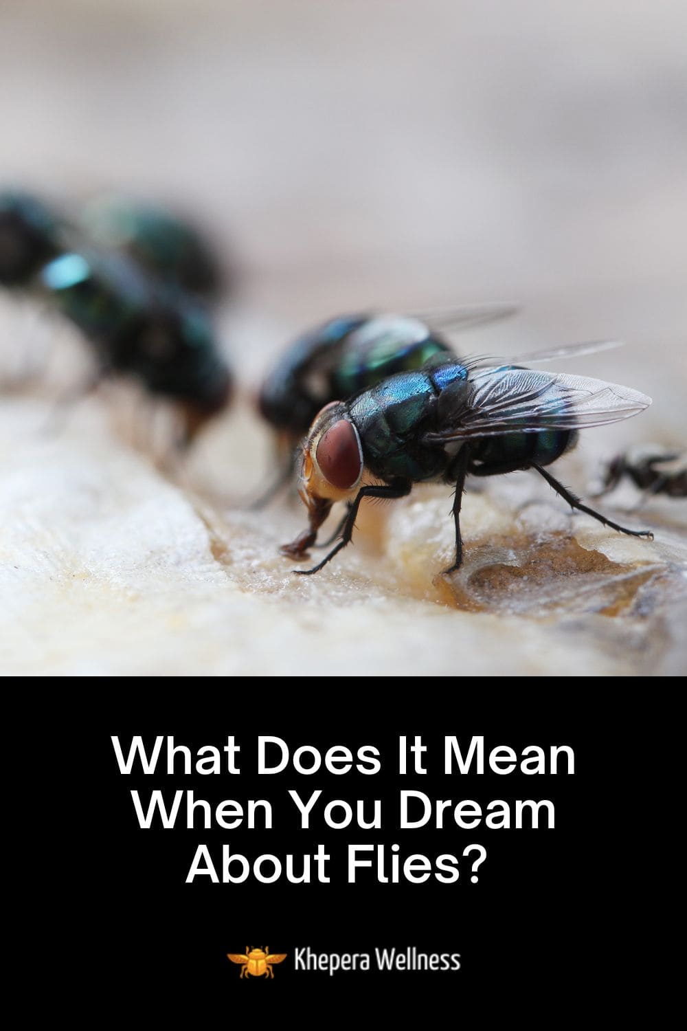 What Does It Mean When You Dream About Dead Flies at Darlene Oxley blog