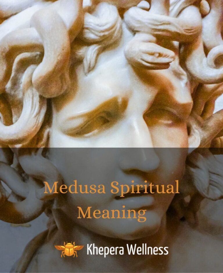 9 Medusa Spiritual Meanings The Power Behind the Myth